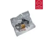 پلاتین پاترول ژاپنی