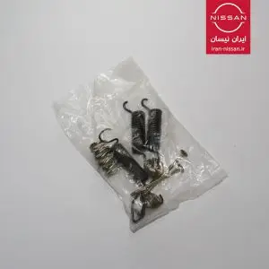 میخ و فنر لنت عقب پاترول 4 سیلندر