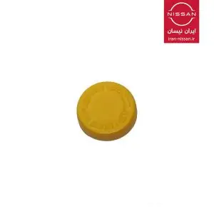 در منبع ذخیره پیکاپ رونیز